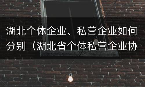 湖北个体企业、私营企业如何分别（湖北省个体私营企业协会）