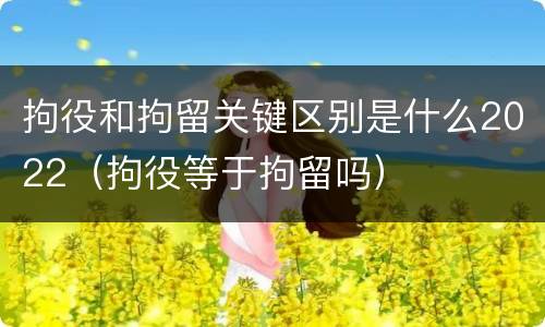 拘役和拘留关键区别是什么2022（拘役等于拘留吗）