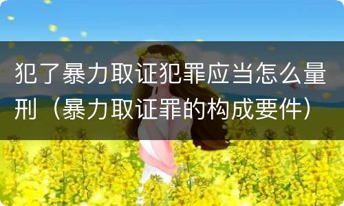 犯了暴力取证犯罪应当怎么量刑（暴力取证罪的构成要件）