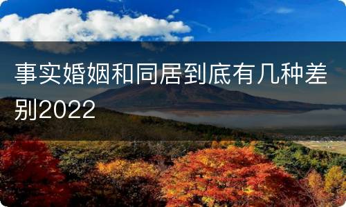 事实婚姻和同居到底有几种差别2022