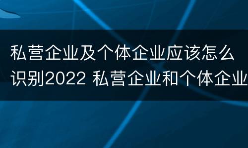 私营企业及个体企业应该怎么识别2022 私营企业和个体企业