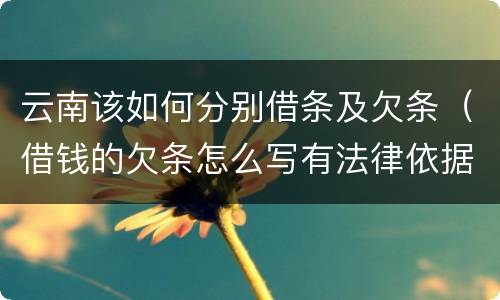 云南该如何分别借条及欠条（借钱的欠条怎么写有法律依据）