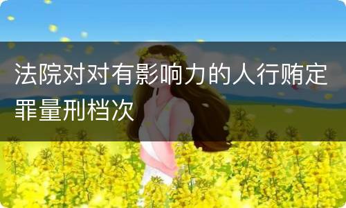 法院对对有影响力的人行贿定罪量刑档次