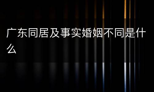 广东同居及事实婚姻不同是什么
