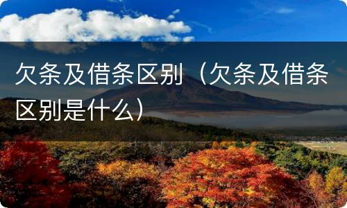 欠条及借条区别（欠条及借条区别是什么）