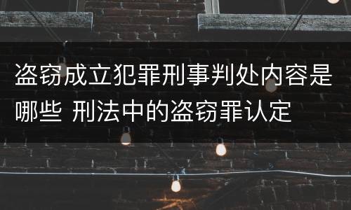 盗窃成立犯罪刑事判处内容是哪些 刑法中的盗窃罪认定