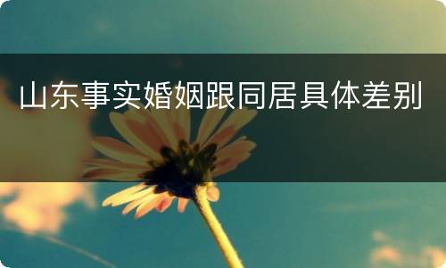 山东事实婚姻跟同居具体差别
