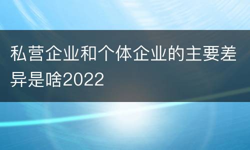 私营企业和个体企业的主要差异是啥2022