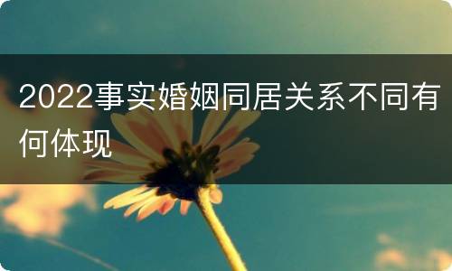 2022事实婚姻同居关系不同有何体现