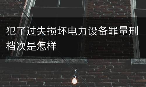 犯了过失损坏电力设备罪量刑档次是怎样