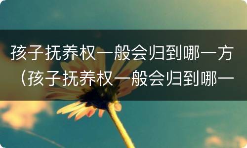 孩子抚养权一般会归到哪一方（孩子抚养权一般会归到哪一方抚养）