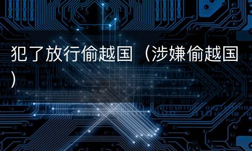 犯了放行偷越国（涉嫌偷越国）