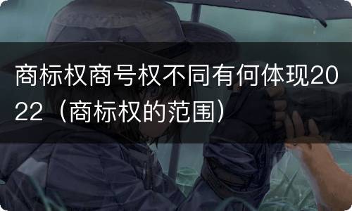 商标权商号权不同有何体现2022（商标权的范围）