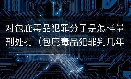 对包庇毒品犯罪分子是怎样量刑处罚（包庇毒品犯罪判几年）