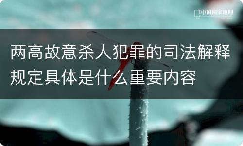 两高故意杀人犯罪的司法解释规定具体是什么重要内容