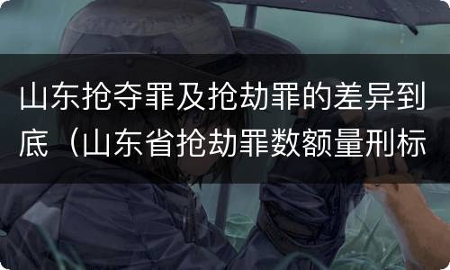 山东抢夺罪及抢劫罪的差异到底（山东省抢劫罪数额量刑标准）