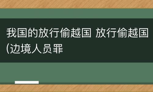 我国的放行偷越国 放行偷越国(边境人员罪