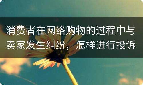 消费者在网络购物的过程中与卖家发生纠纷，怎样进行投诉