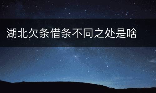 湖北欠条借条不同之处是啥