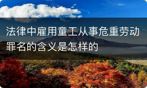 法律中雇用童工从事危重劳动罪名的含义是怎样的