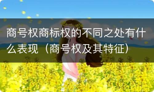 商号权商标权的不同之处有什么表现（商号权及其特征）