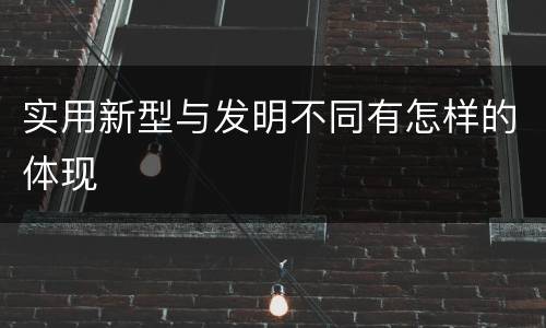实用新型与发明不同有怎样的体现