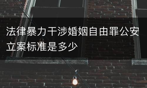 法律暴力干涉婚姻自由罪公安立案标准是多少