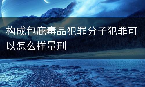 构成包庇毒品犯罪分子犯罪可以怎么样量刑