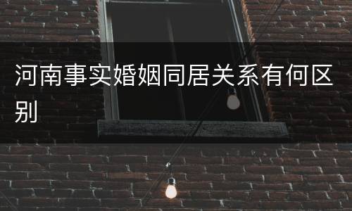 河南事实婚姻同居关系有何区别
