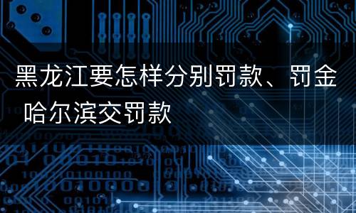 黑龙江要怎样分别罚款、罚金 哈尔滨交罚款