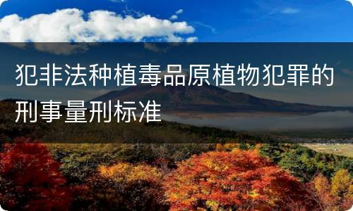 犯非法种植毒品原植物犯罪的刑事量刑标准
