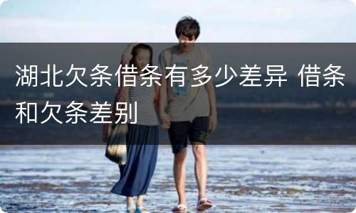 湖北欠条借条有多少差异 借条和欠条差别
