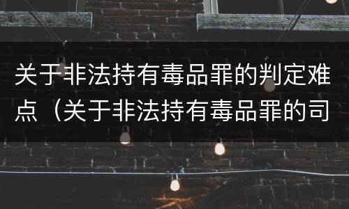 关于非法持有毒品罪的判定难点（关于非法持有毒品罪的司法解释）