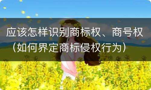 应该怎样识别商标权、商号权（如何界定商标侵权行为）