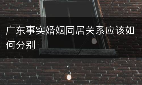广东事实婚姻同居关系应该如何分别