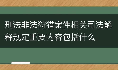 刑法非法狩猎案件相关司法解释规定重要内容包括什么