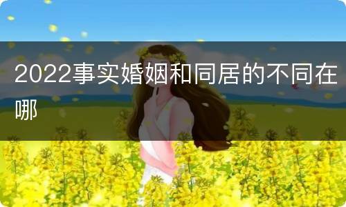 2022事实婚姻和同居的不同在哪