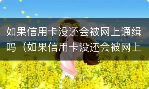 如果信用卡没还会被网上通缉吗（如果信用卡没还会被网上通缉吗）