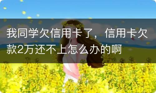 我同学欠信用卡了，信用卡欠款2万还不上怎么办的啊