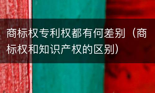 商标权专利权都有何差别（商标权和知识产权的区别）
