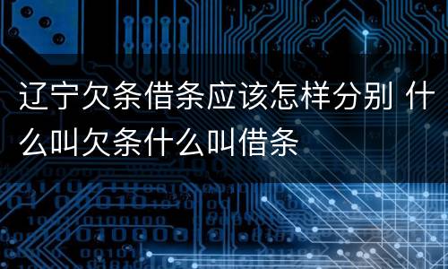 辽宁欠条借条应该怎样分别 什么叫欠条什么叫借条