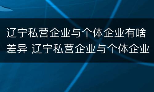 辽宁私营企业与个体企业有啥差异 辽宁私营企业与个体企业有啥差异嘛