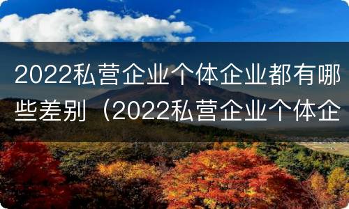 2022私营企业个体企业都有哪些差别（2022私营企业个体企业都有哪些差别和优势）