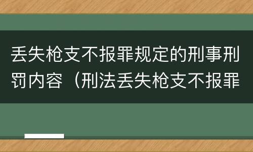 丢失枪支不报罪规定的刑事刑罚内容（刑法丢失枪支不报罪）