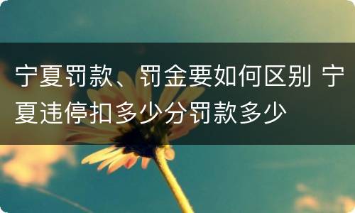 宁夏罚款、罚金要如何区别 宁夏违停扣多少分罚款多少