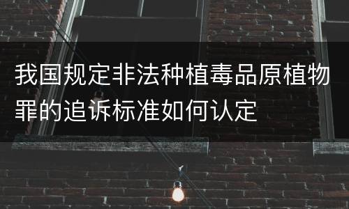我国规定非法种植毒品原植物罪的追诉标准如何认定