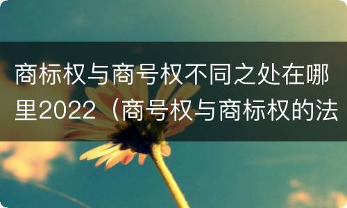 商标权与商号权不同之处在哪里2022（商号权与商标权的法律冲突与解决）
