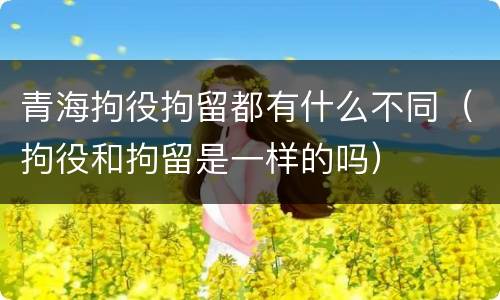青海拘役拘留都有什么不同（拘役和拘留是一样的吗）