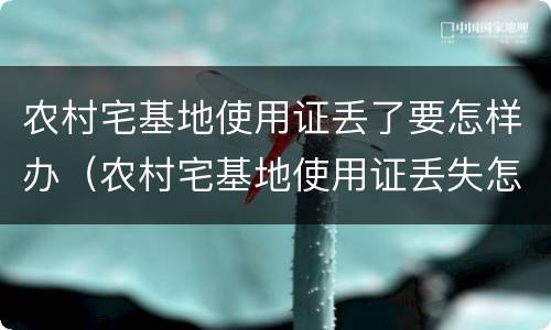 农村宅基地使用证丢了要怎样办（农村宅基地使用证丢失怎么办）