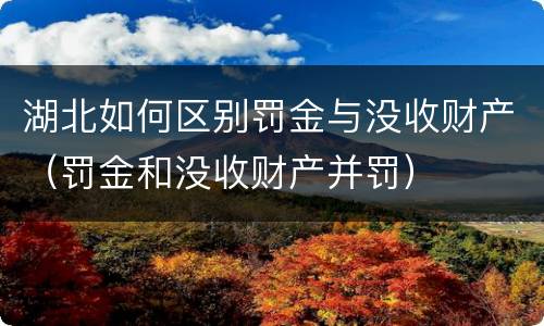 湖北如何区别罚金与没收财产（罚金和没收财产并罚）